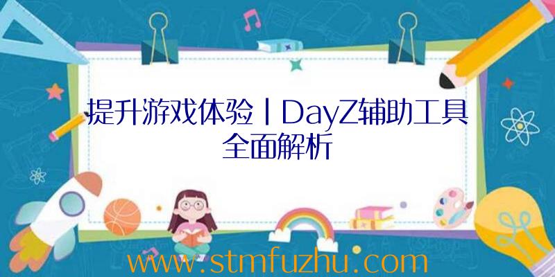 提升游戏体验|DayZ辅助工具全面解析